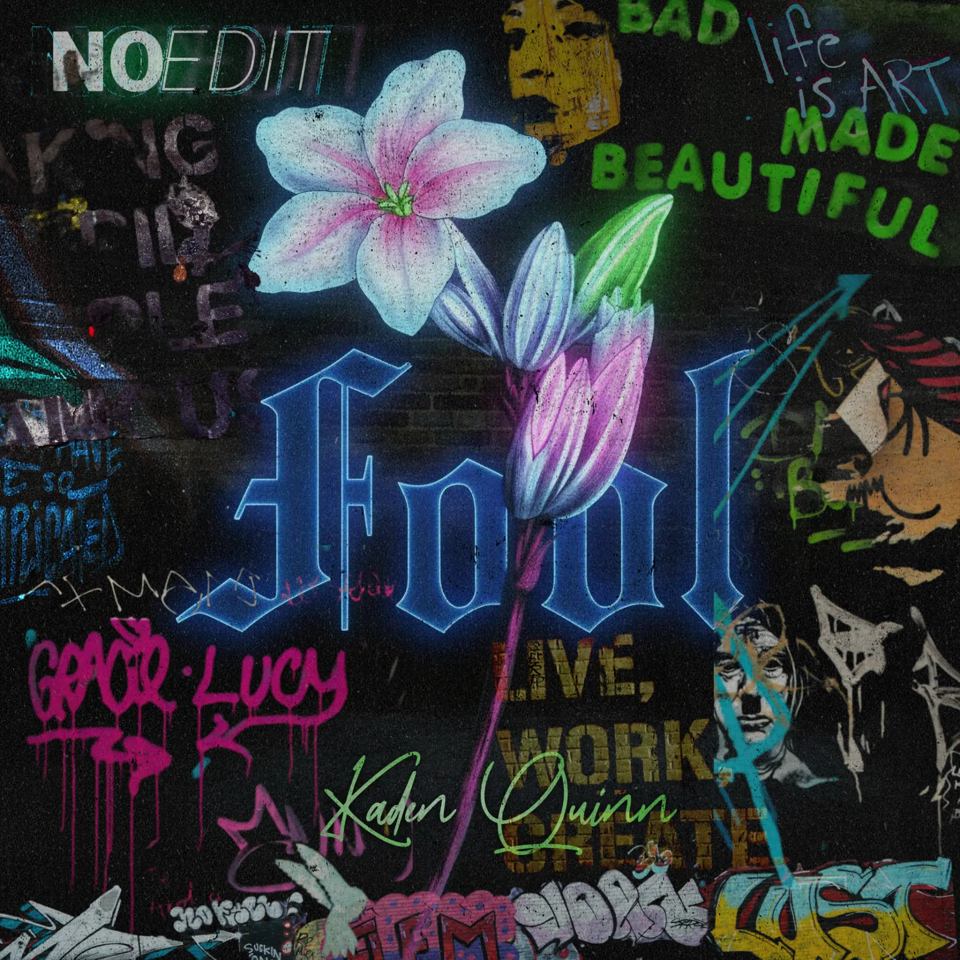 Fool album cover